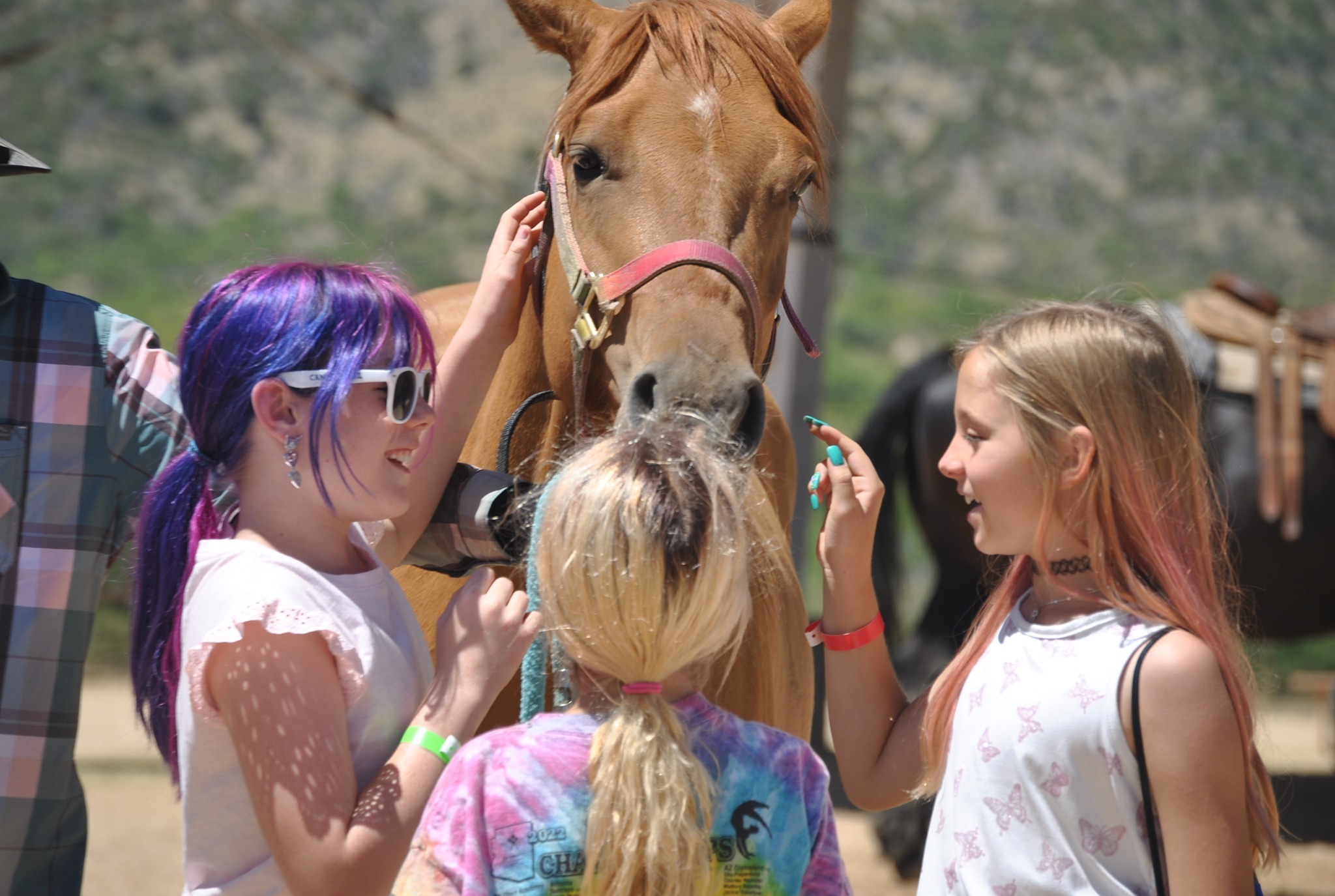 ADTC Ultimate Red Rocks Dance Camp - Sedona, AZ фото 1