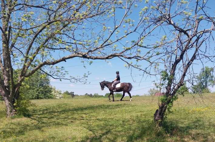 Yonahlossee Saddle Club