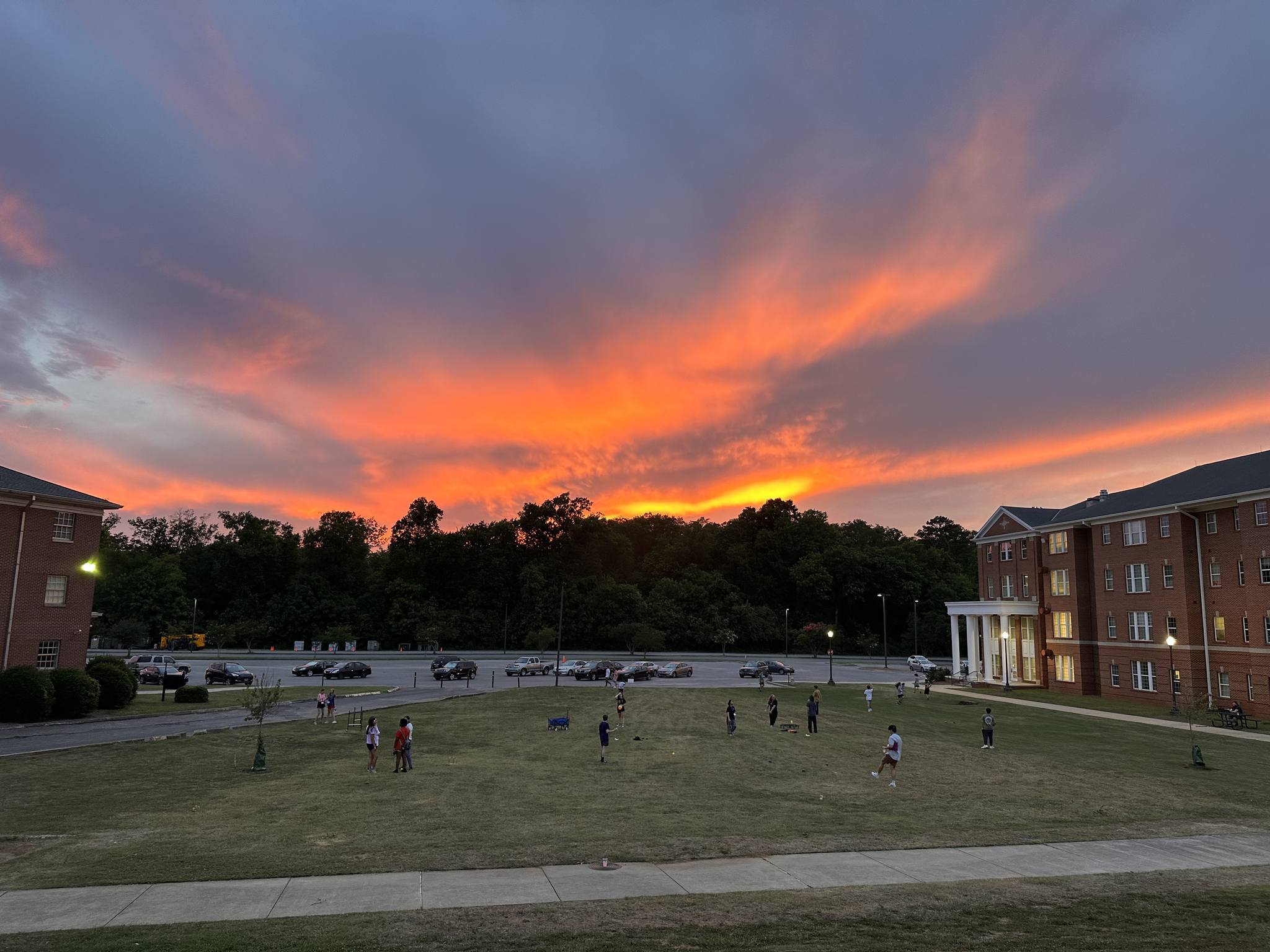 Young Musicians photo 1