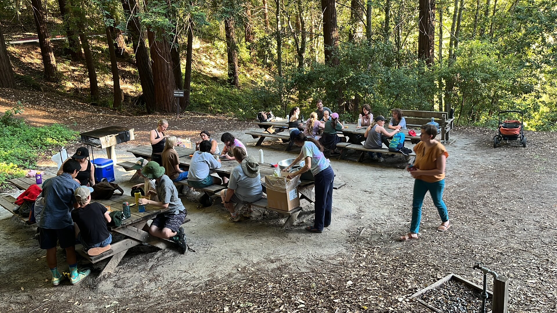 Youth Empowered Action Camp photo 1