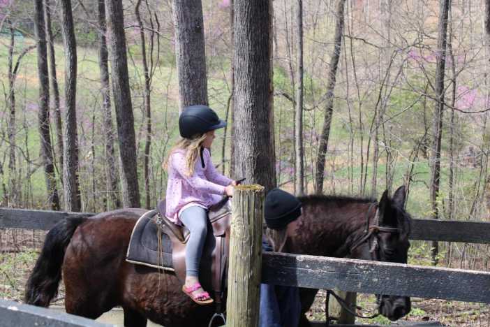 Youth Haven Bible Camp