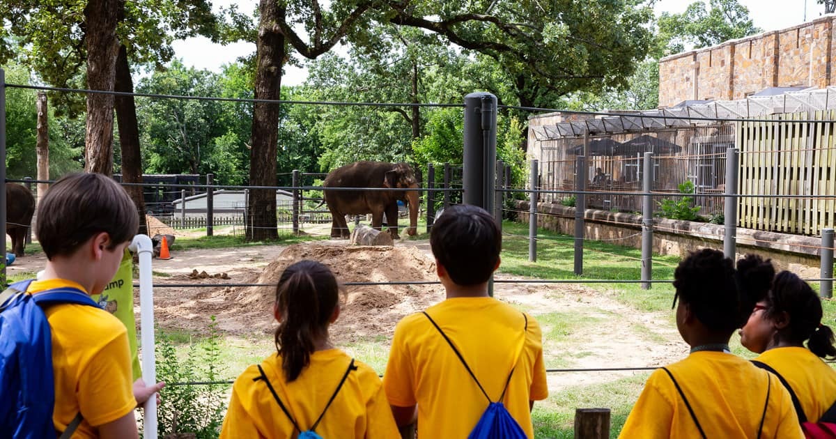 Zoofari Day Camp