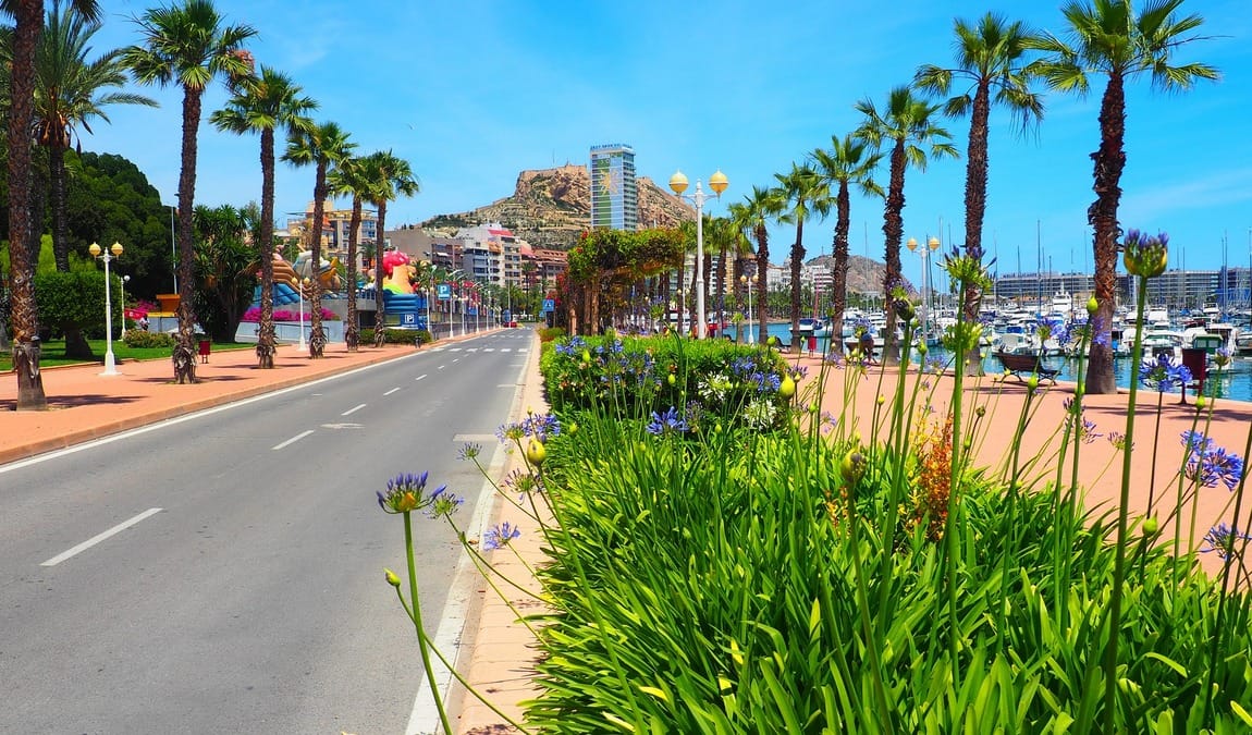 alicante in august photo 2