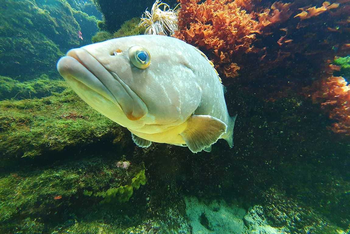 top-10 interesting facts about austrian zoos photo 5