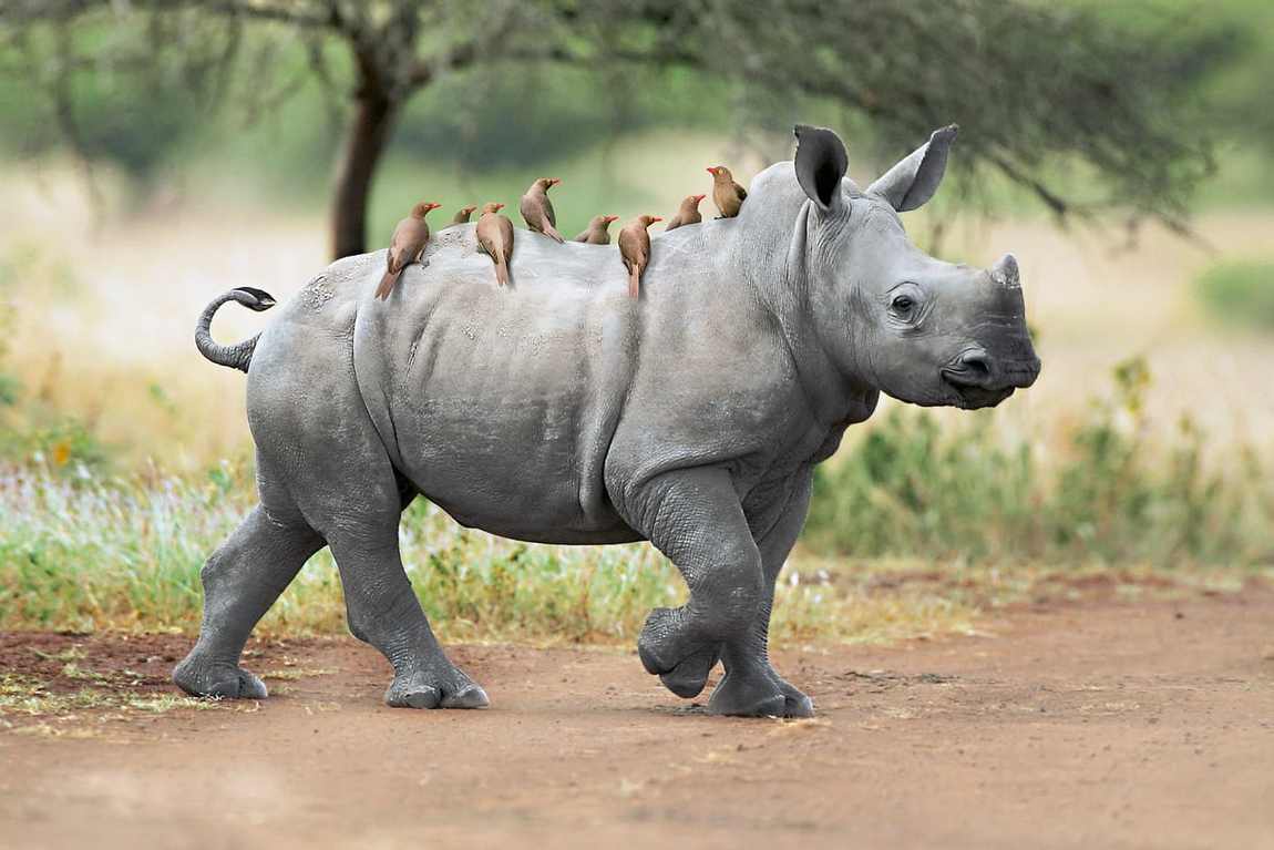 10 best zoos to visit with your kids in europe photo 7