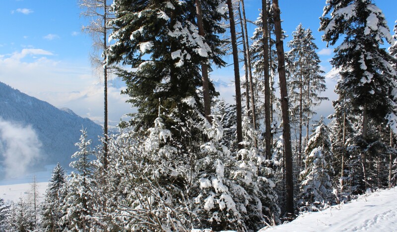 Is Alpbach Worth a Visit? Uncovering the Charm of Austria’s Picturesque Village