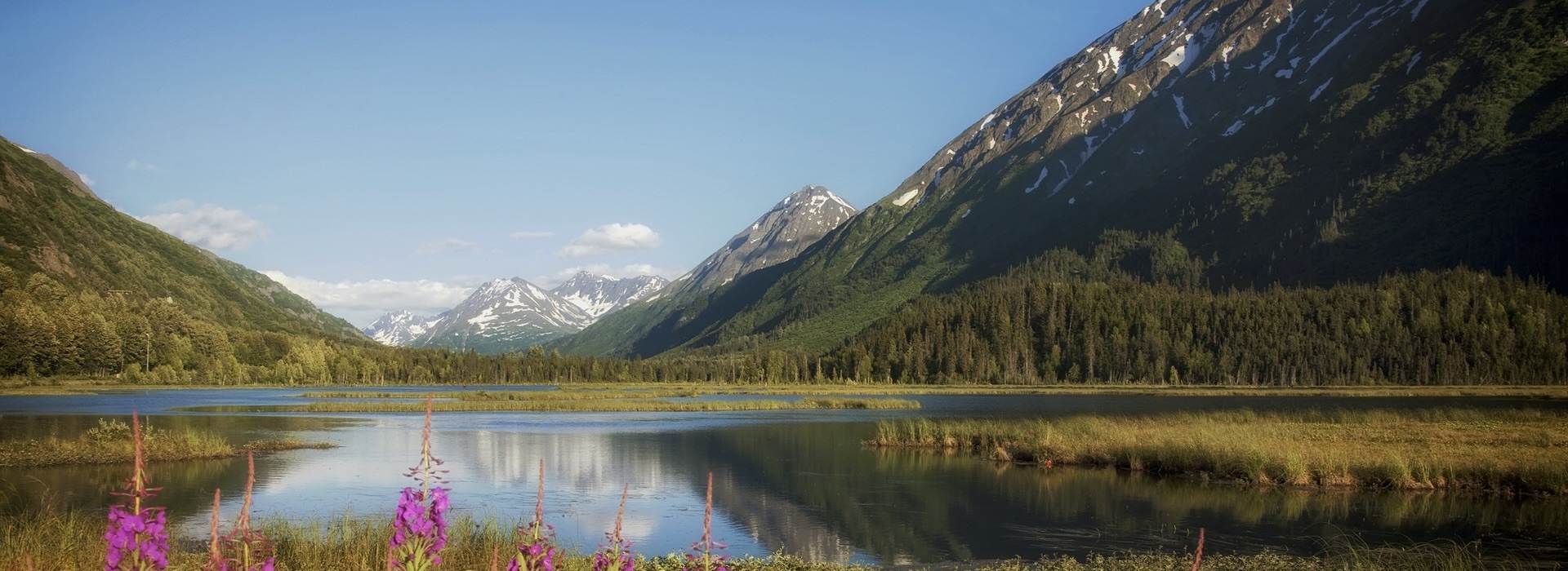 Backpacking Camps
