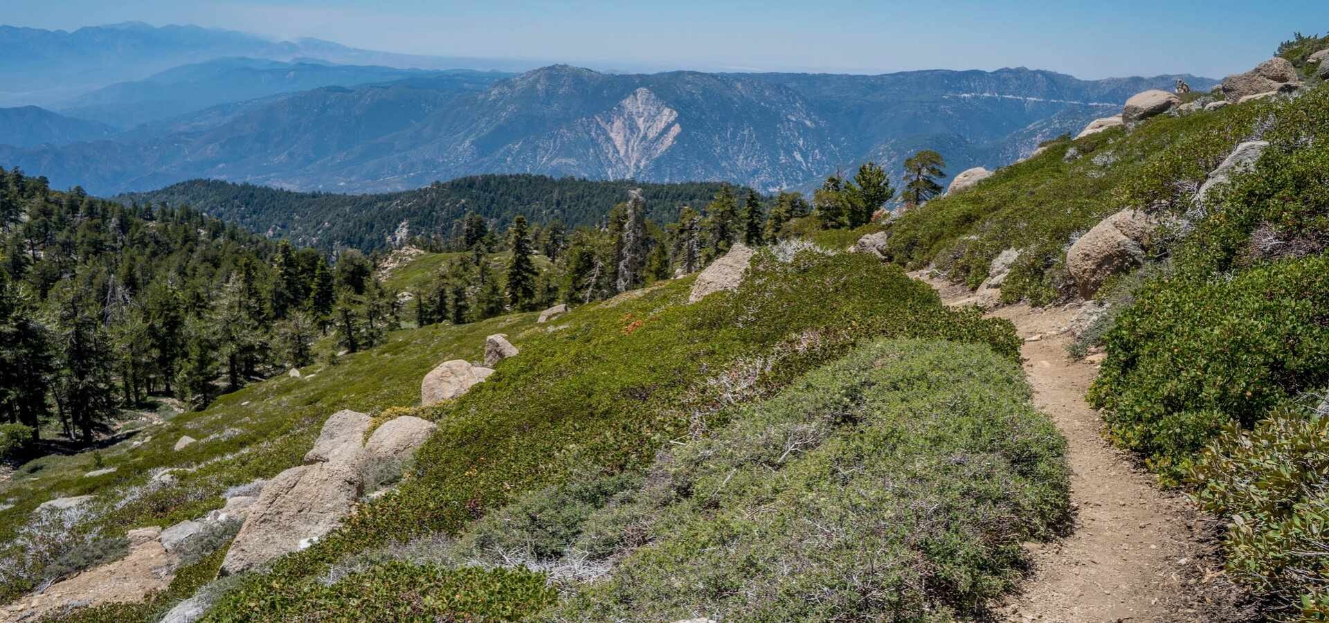 Summer Camps for Teens