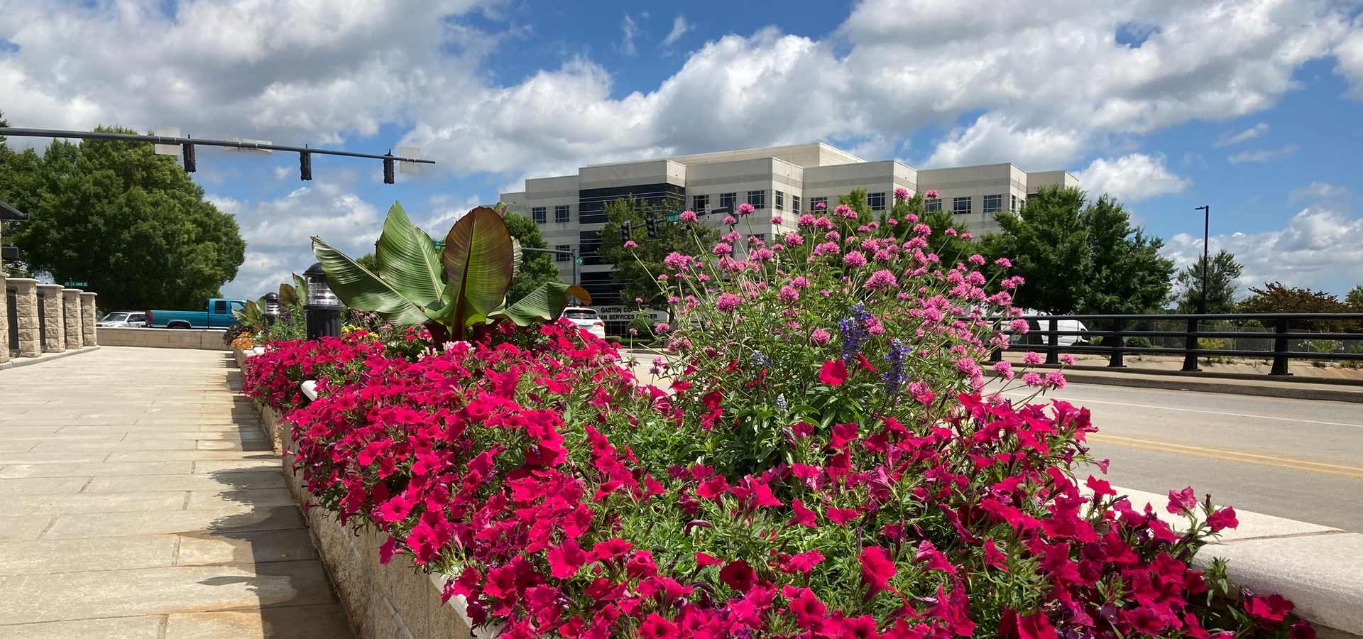 Summer Camps for Teens