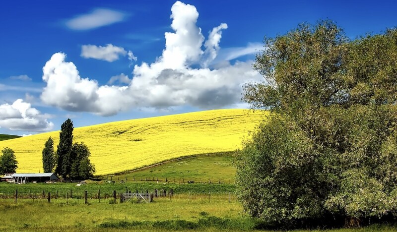 <span class=kid-textflex>Idaho</span>