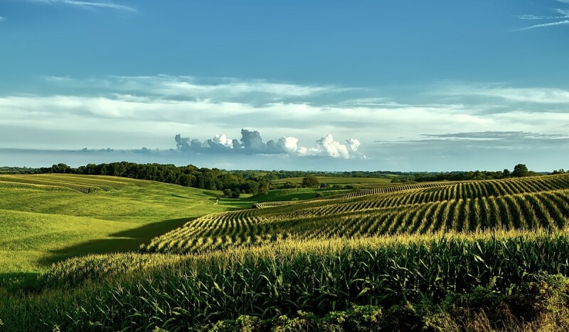 <span class=kid-textflex>Iowa</span>