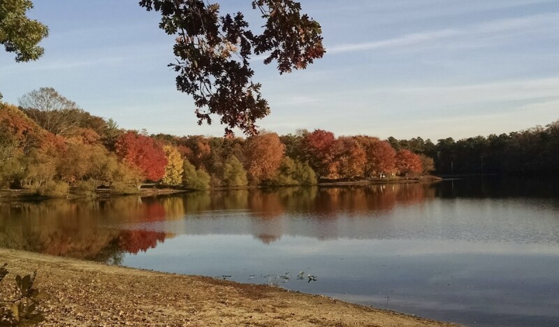 <span class=kid-textflex>New Jersey</span>