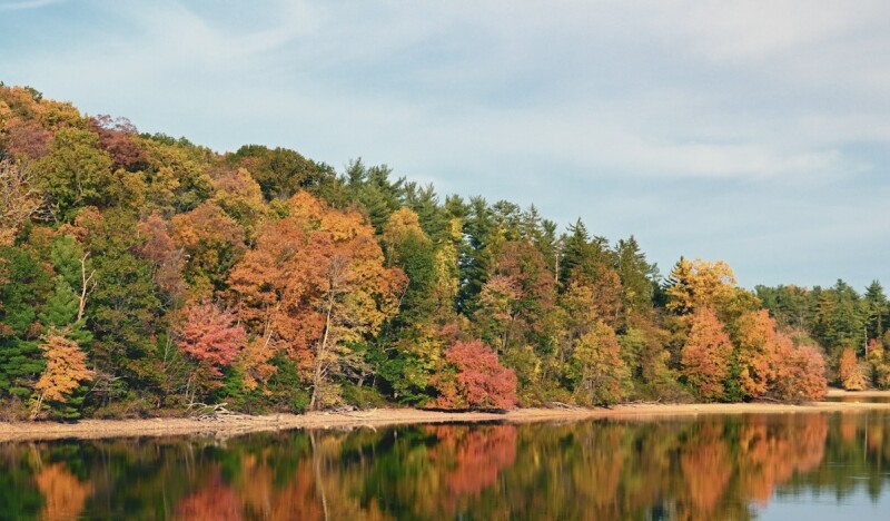 <span class=kid-textflex>Pennsylvania</span>