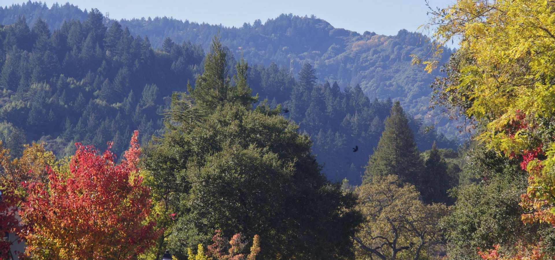 Summer Camps for Teens