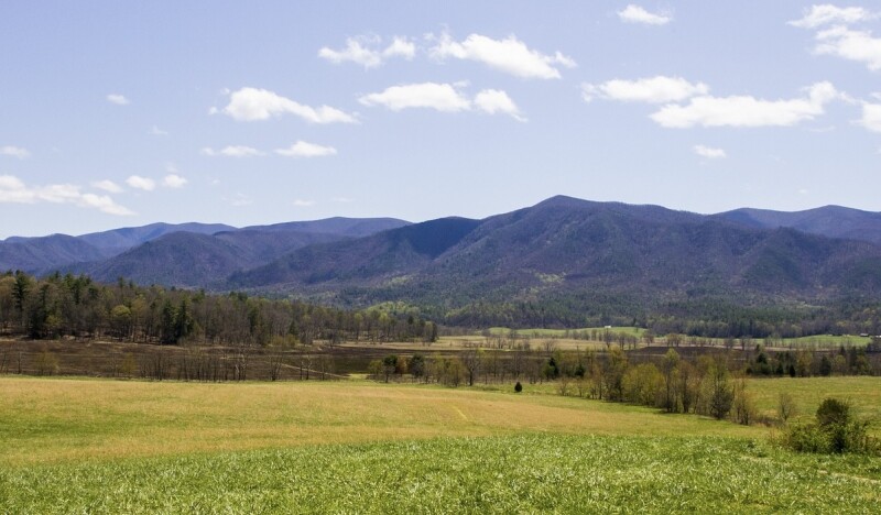 <span class=kid-textflex>Tennessee</span>