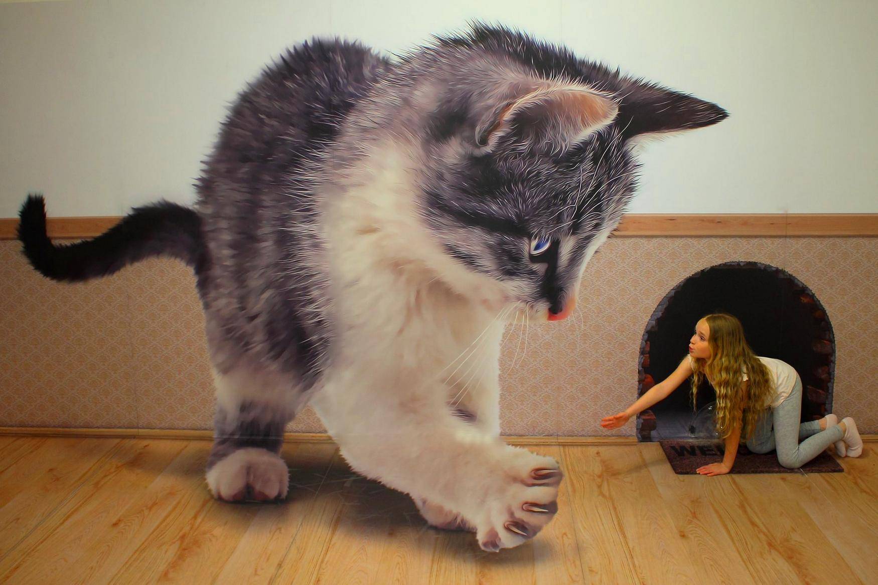 3D PicArt Museum фото 1