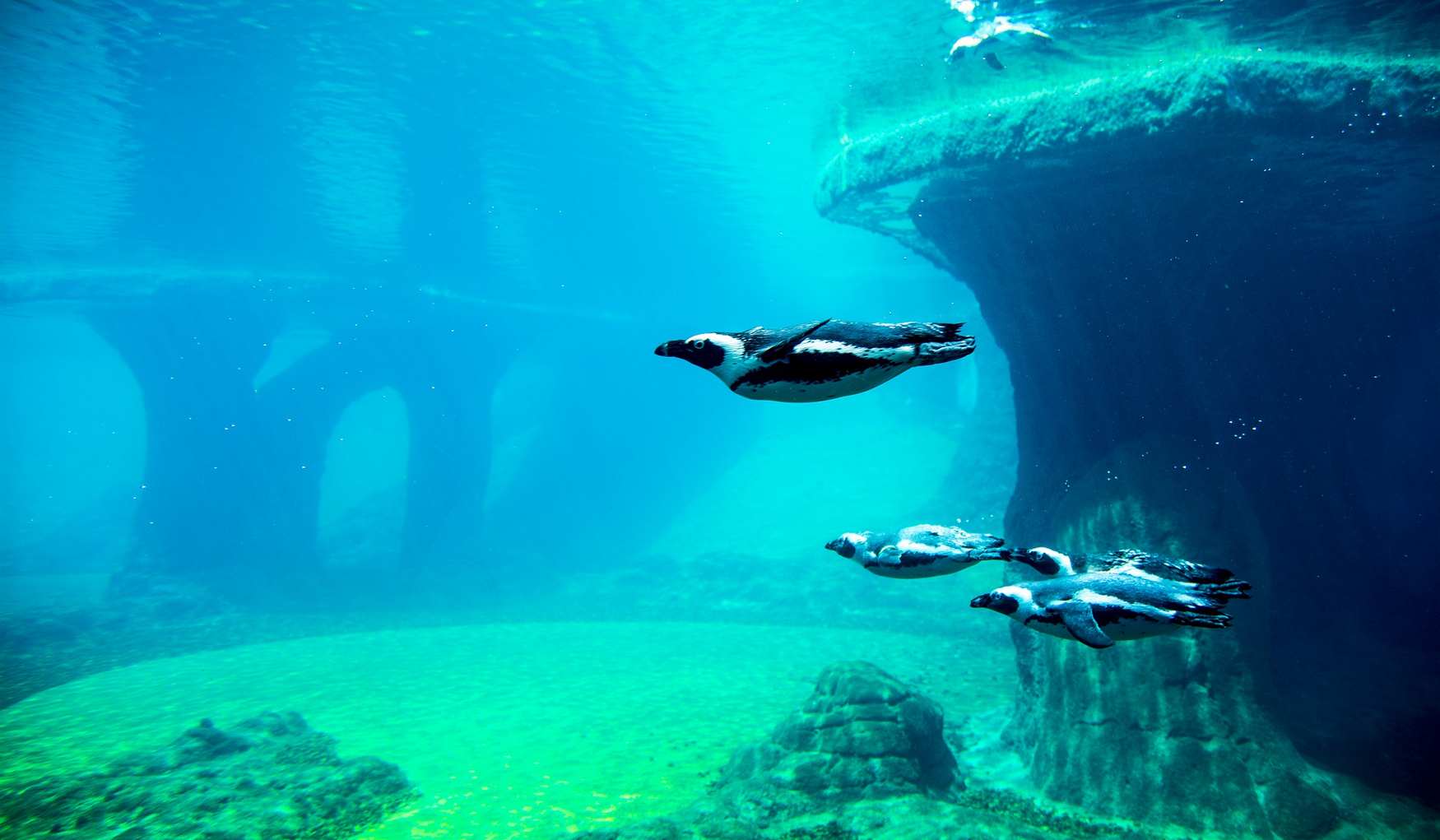 Зоопарк Вроцлава фото 1