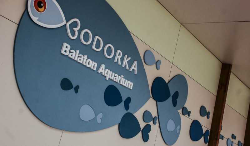 Аквариум Bodorka Balaton