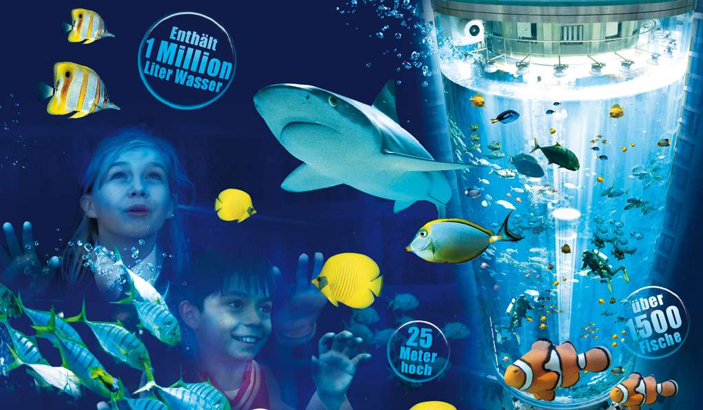 Sea Life Berlin photo 1