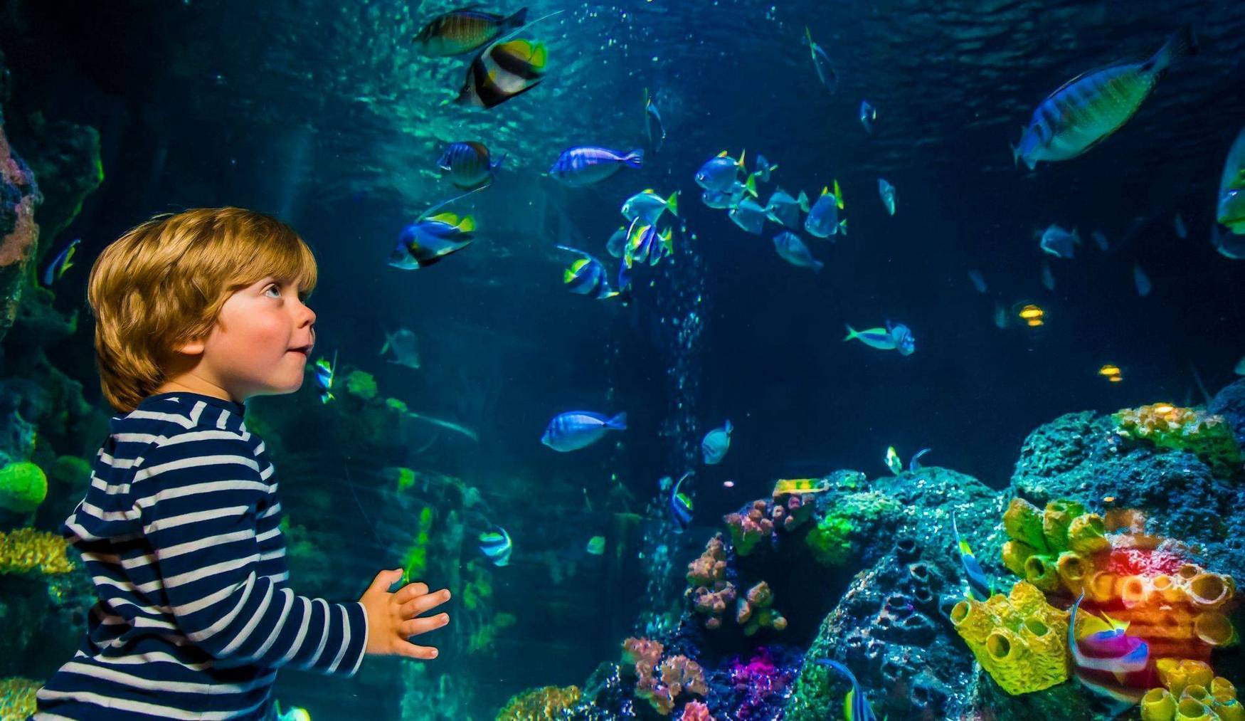 Sea Life Oberhausen