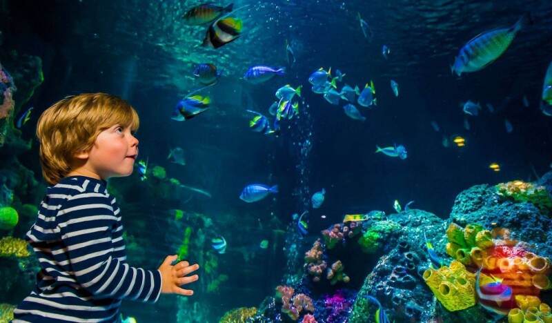 Sea Life Oberhausen