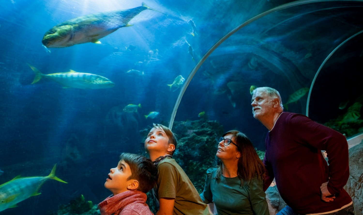 Sea Life Munich