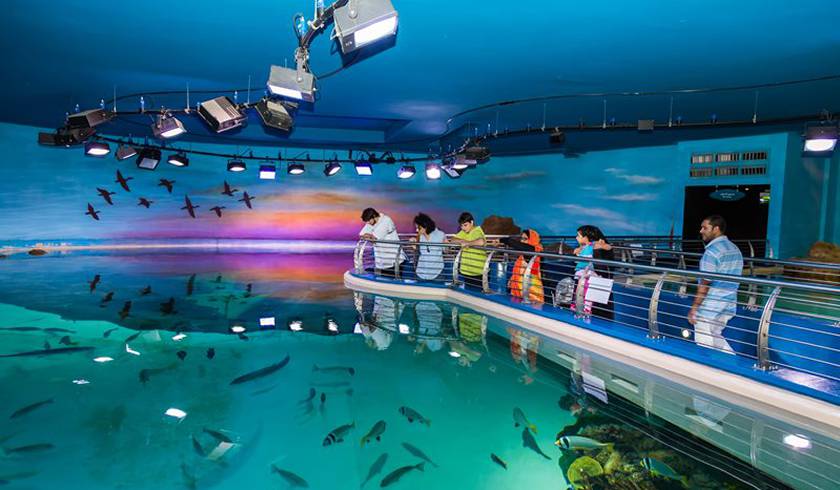 Аквариум Шарджи фото 1