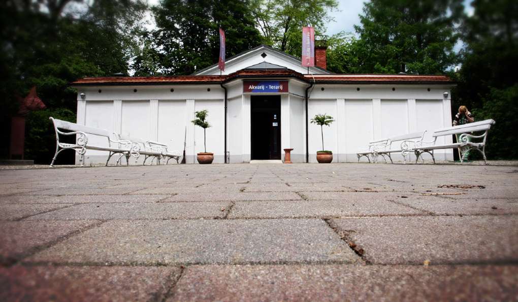 Аквариум-Террариум Марибор фото 1