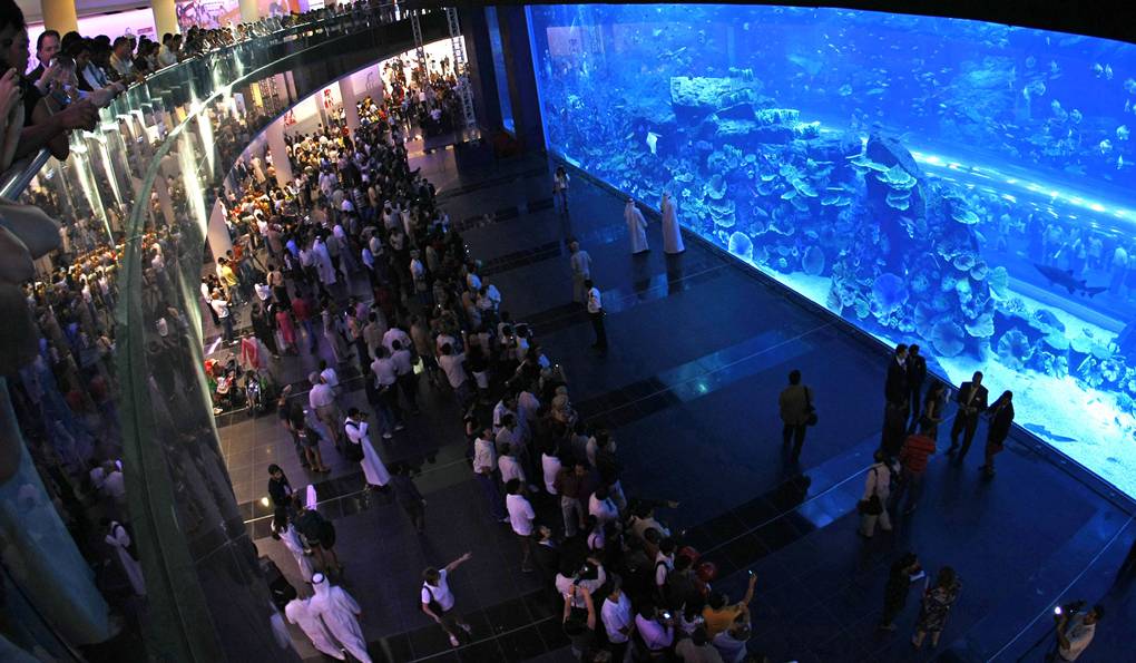 Музей Подводного Мира The Lost Chambers фото 1