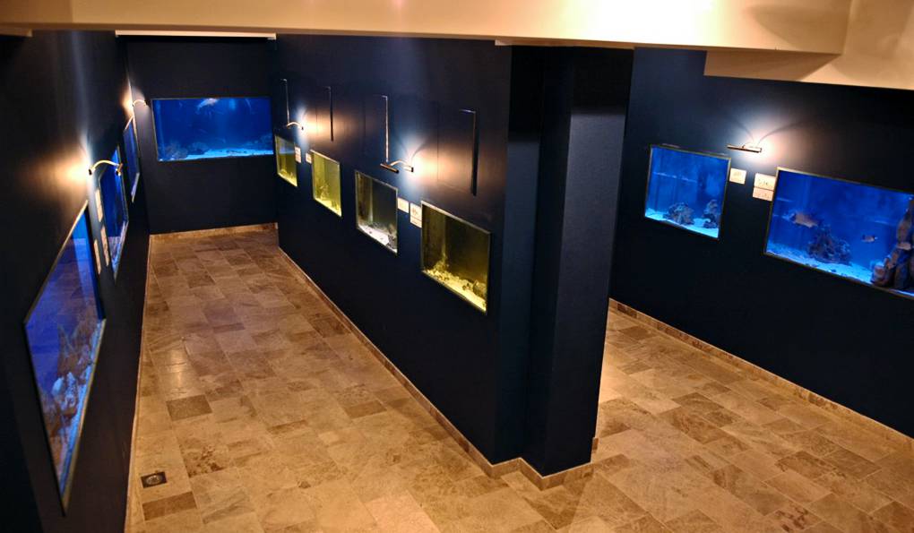 Аквариум Водице фото 1