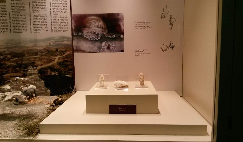 Археологический Музей Бурсы фото 1