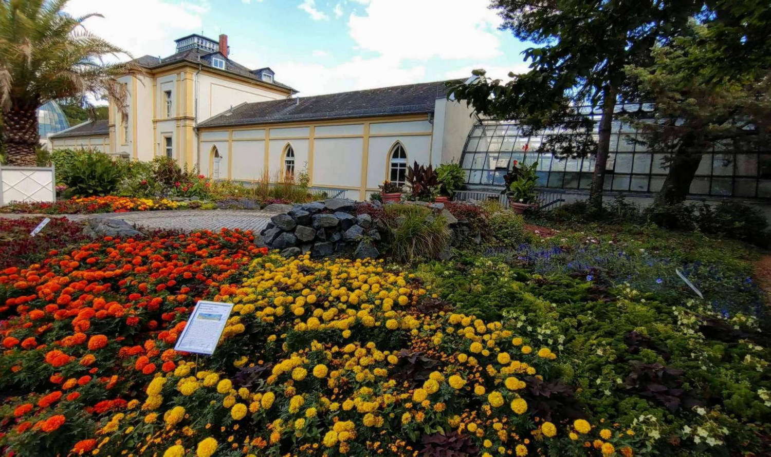 Palmengarten