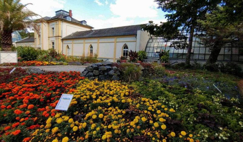 Ботанический Сад Пальменгартен