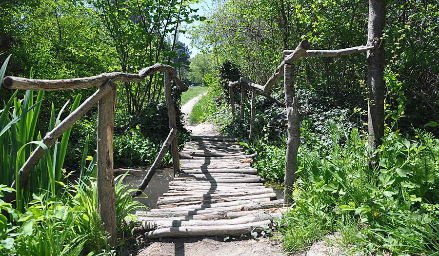 Ботанический Экопарк фото 1