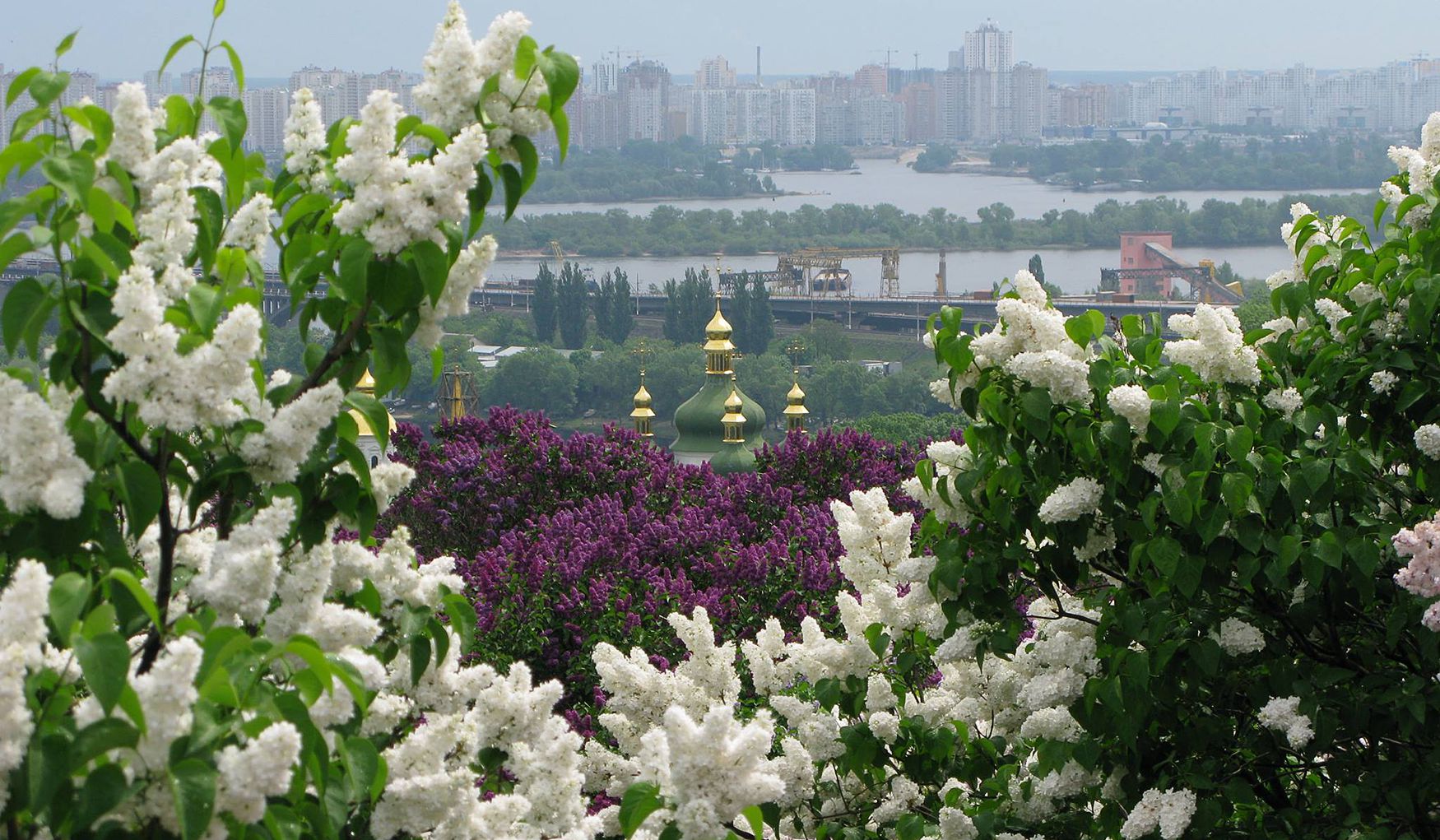 Ботанический Cад им. Н. Гришко фото 1