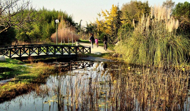 Ботанический Парк Соанлы