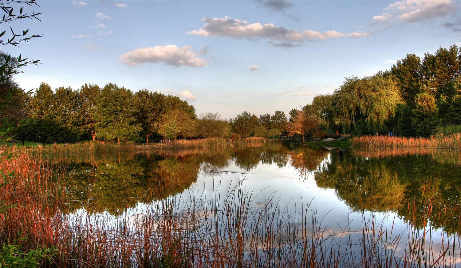 Ботанический Парк Соанлы фото 1