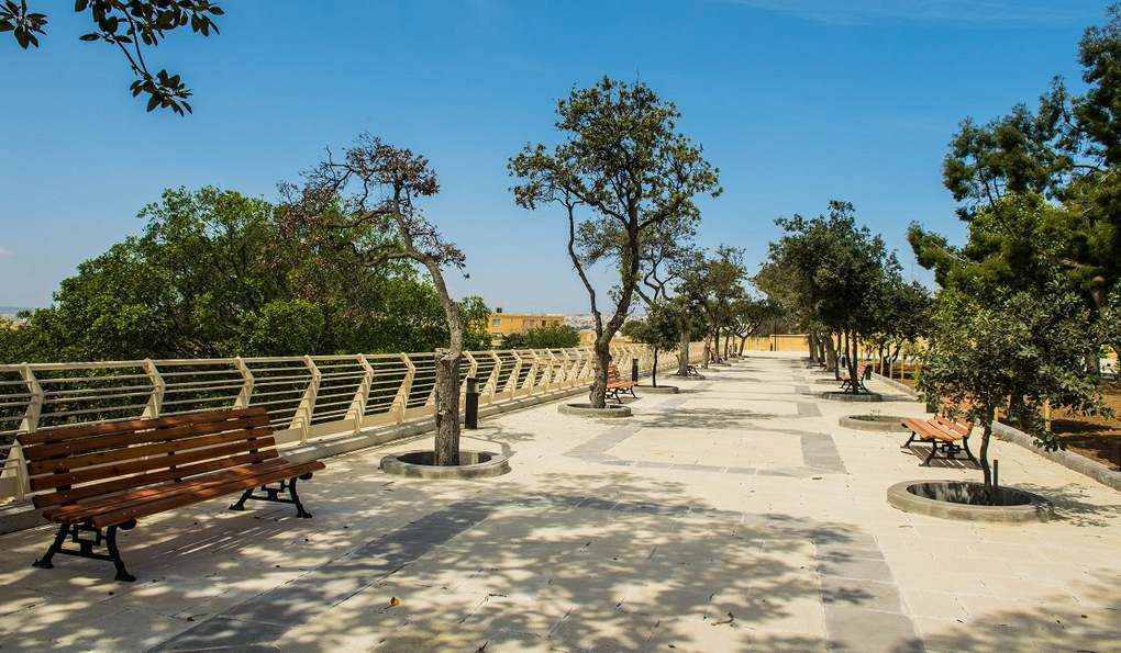 Ботанический Сад Арготти фото 1