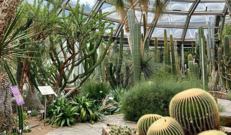 Ботанический Сад Берлина