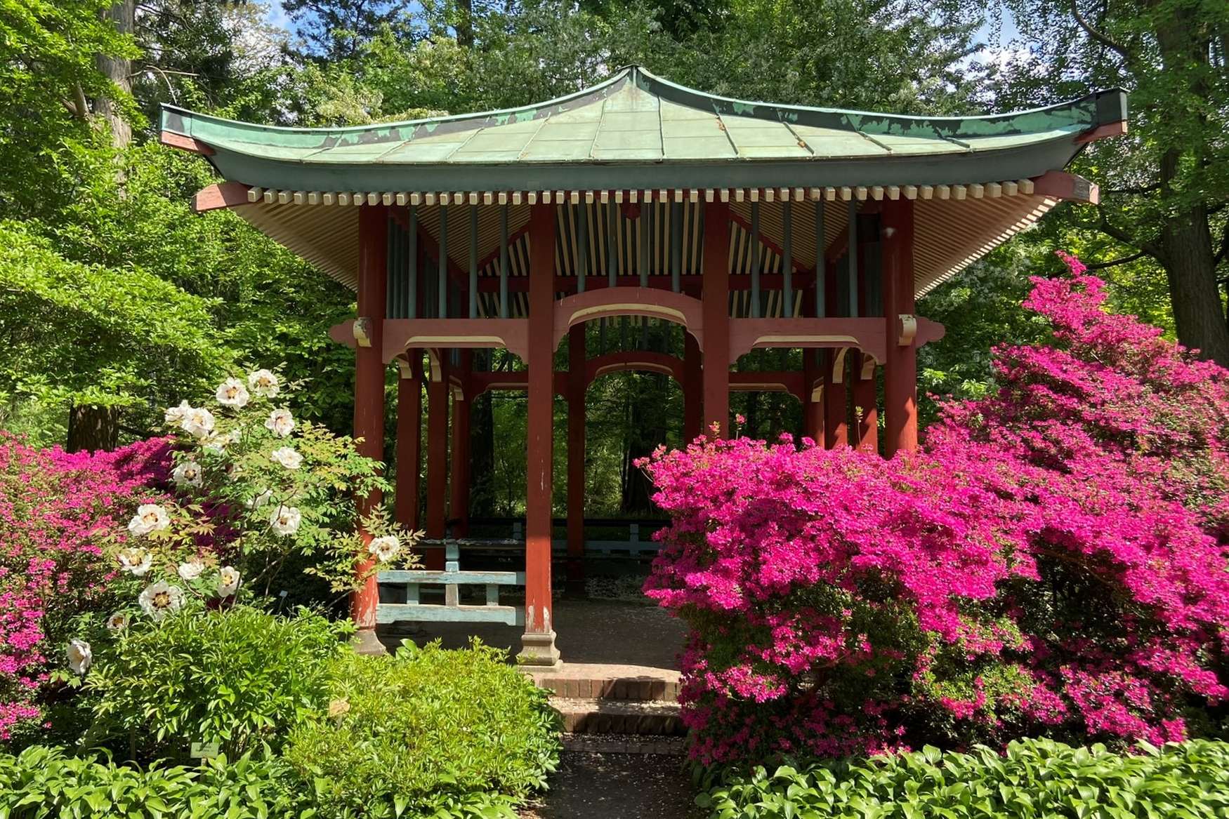 Ботанический Сад Берлина фото 1