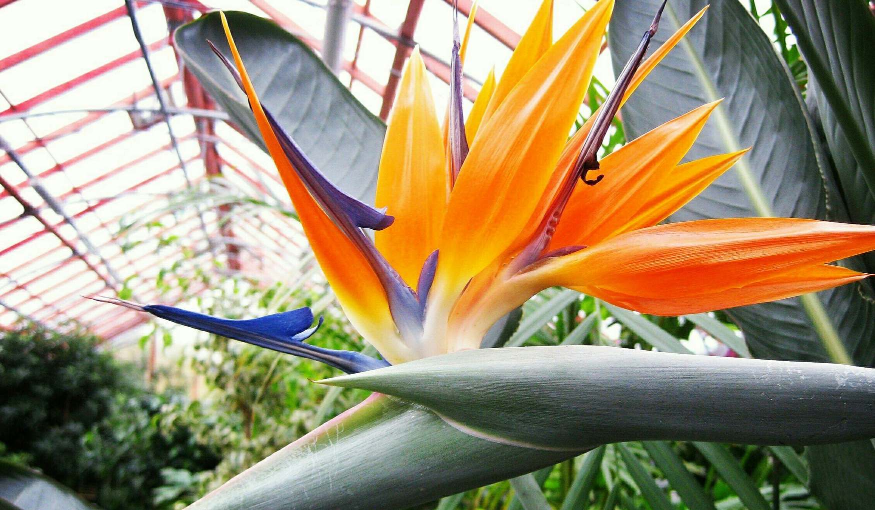 Ботанический Сад Екатеринбурга фото 1