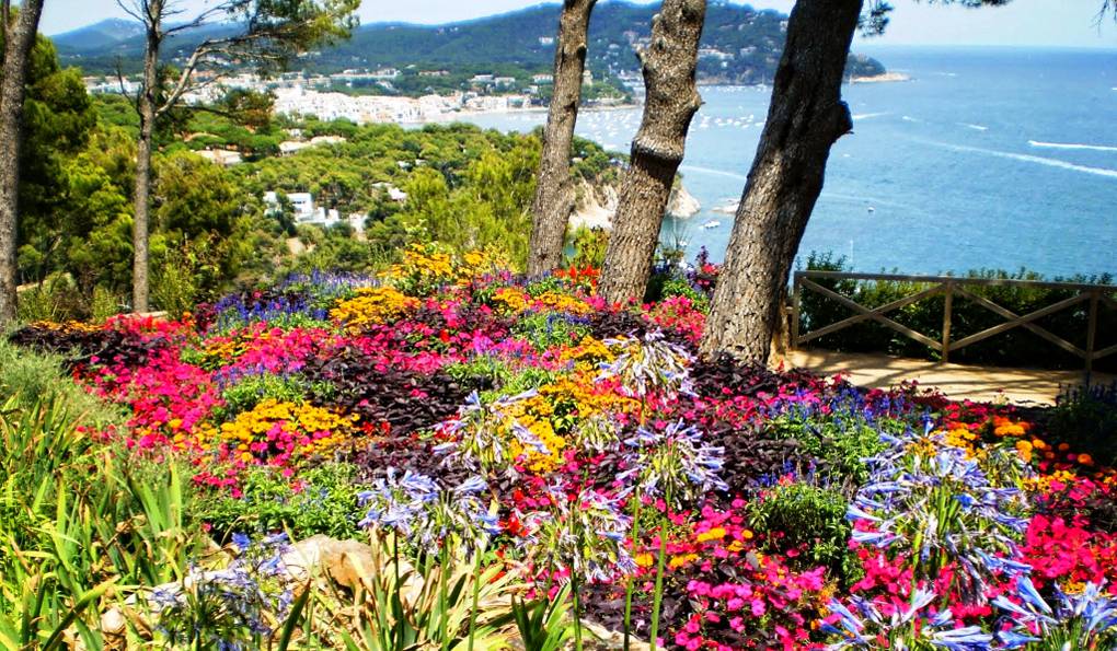 Pinya de Rosa Tropical Botanical Garden фото 1