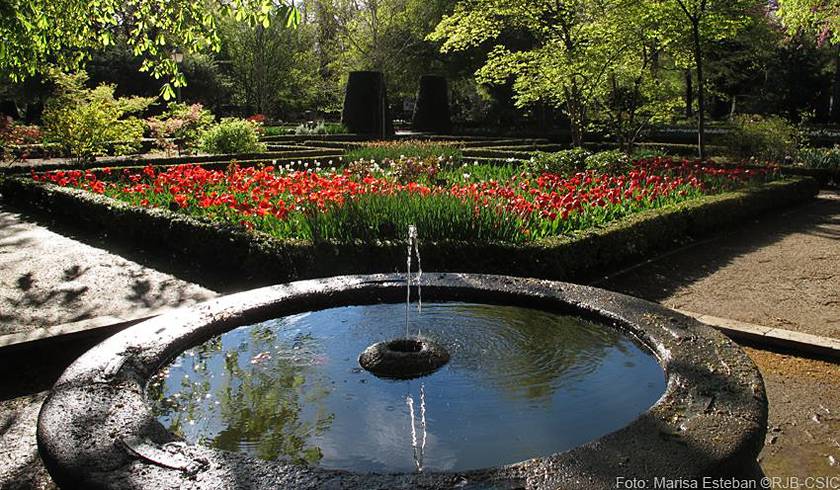 The Enchanted Forest фото 1