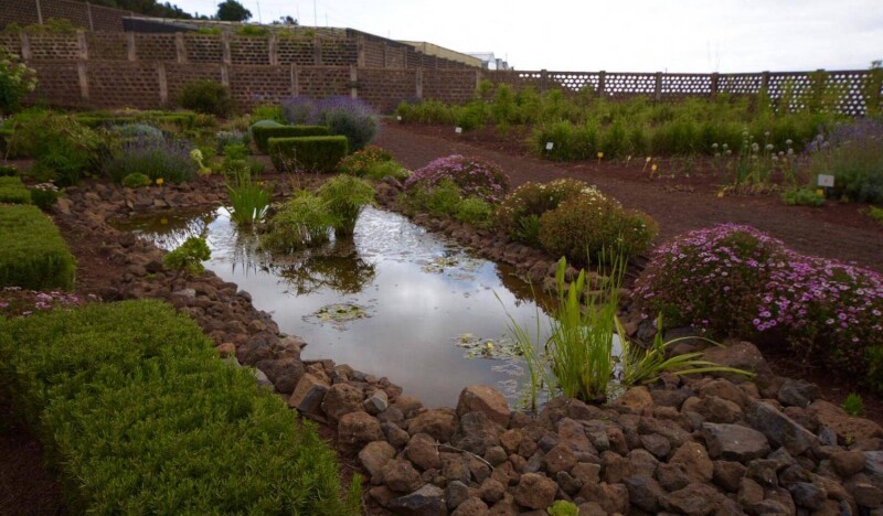 Botanical Garden Puerto de La Cruz