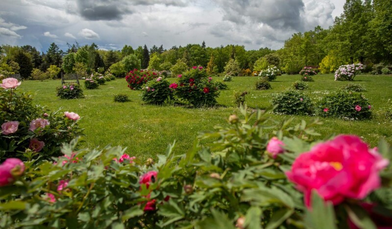 Prague Botanical Garden