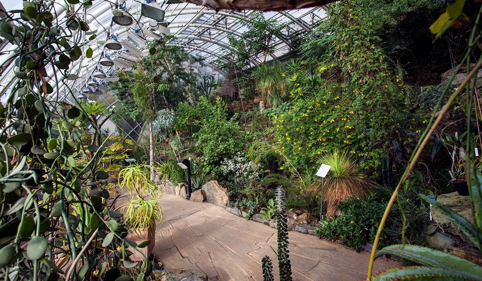 Пругоницкий Парк и Замок фото 1