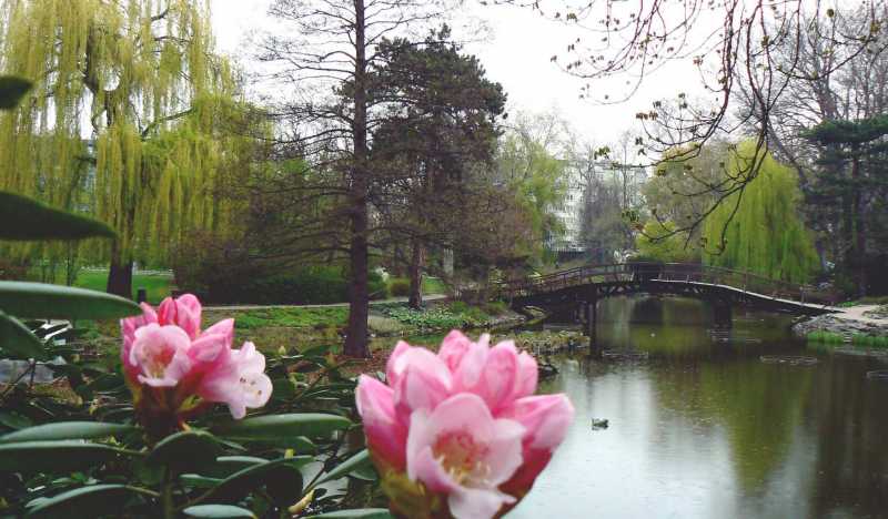 Ботанический Сад Вроцлава