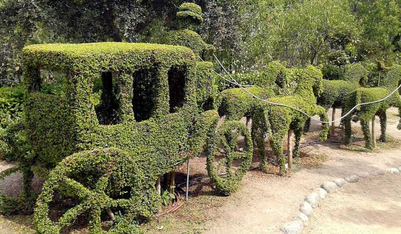 The Enchanted Forest