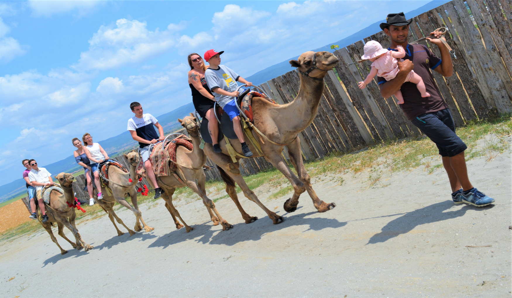 Camel Park