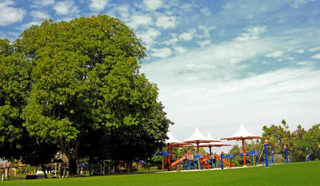 Центральный Парк Аль-Айна фото 1